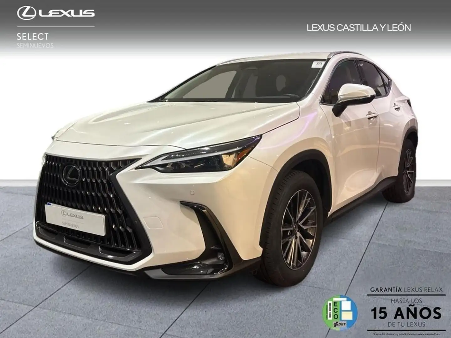 Lexus NX 350h PREMIUM PLUS Blanco - 1