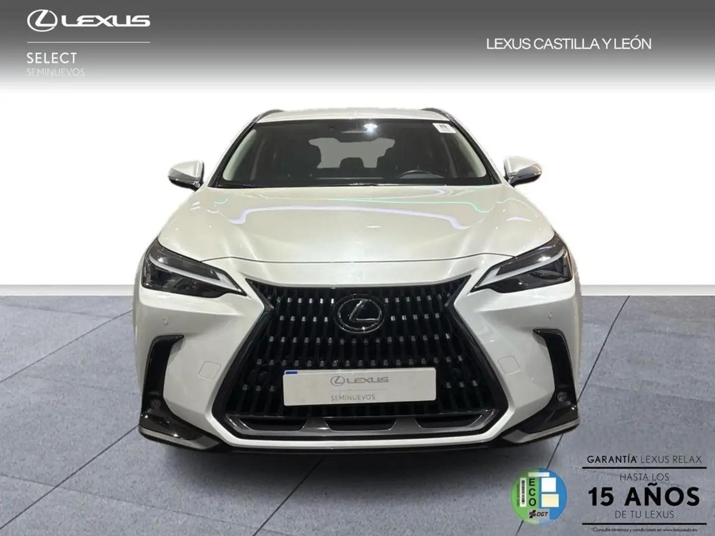 Lexus NX 350h PREMIUM PLUS Blanco - 2