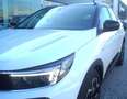 Opel Grandland 1.5 diesel Ecotec aut. GS Autocarro N1 Gris - thumbnail 4