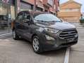 Ford EcoSport 1.0 EcoBoost 100cv Anticipo ZERO, 235€ al mese! Grigio - thumbnail 1