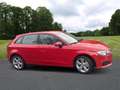 Audi A3 1.6 TDI - Attraction - Euro6 - Leder - 1j Garantie Rouge - thumbnail 6