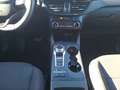 Ford Kuga 2.5 Duratec PHEV 225cv FWD Auto ST-Line Negro - thumbnail 14