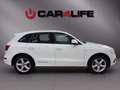 Audi Q5 2,0 TDI quattro Sport S-tronic *S-LINE*ANHÄNGERKU Weiß - thumbnail 4