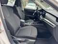 Skoda Octavia 2.0 TDI Ambition*CarPlay*Voll Service* Weiß - thumbnail 10