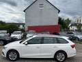 Skoda Octavia 2.0 TDI Ambition*CarPlay*Voll Service* Weiß - thumbnail 7
