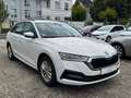 Skoda Octavia 2.0 TDI Ambition*CarPlay*Voll Service* Weiß - thumbnail 3