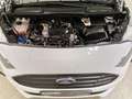 Ford Transit Connect 1.0 EcoBoost Trend Klima|PDC|SHZ|Kamera Weiß - thumbnail 17