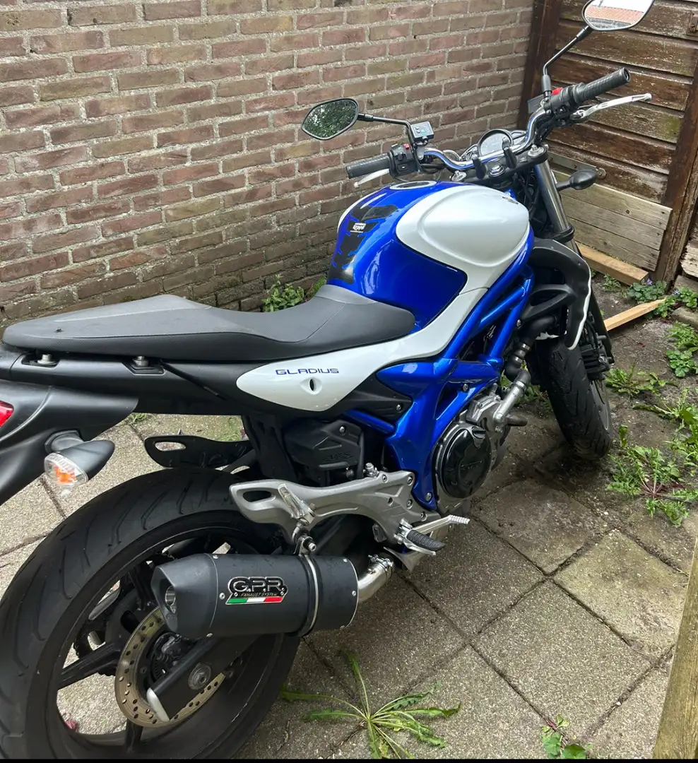 Suzuki Gladius 650 A2 op kenteken - 1