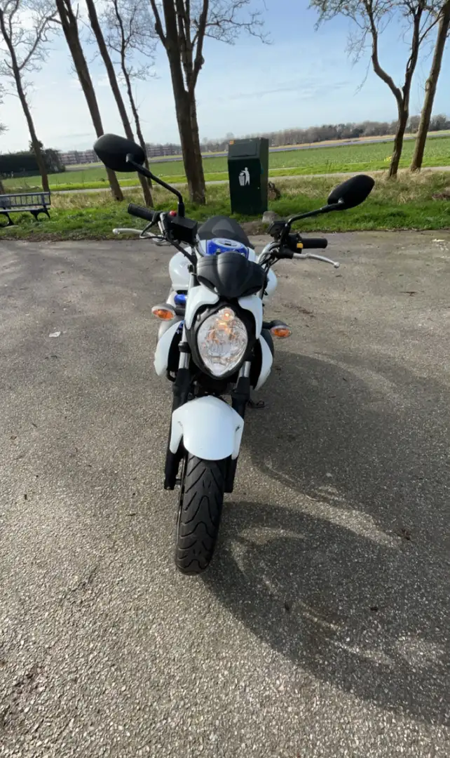 Suzuki Gladius 650 A2 op kenteken - 2