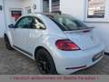 Volkswagen Beetle 1.4TSI Design Black-Line Navi DAB SHZ PDC Weiß - thumbnail 4