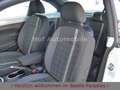 Volkswagen Beetle 1.4TSI Design Black-Line Navi DAB SHZ PDC Weiß - thumbnail 13