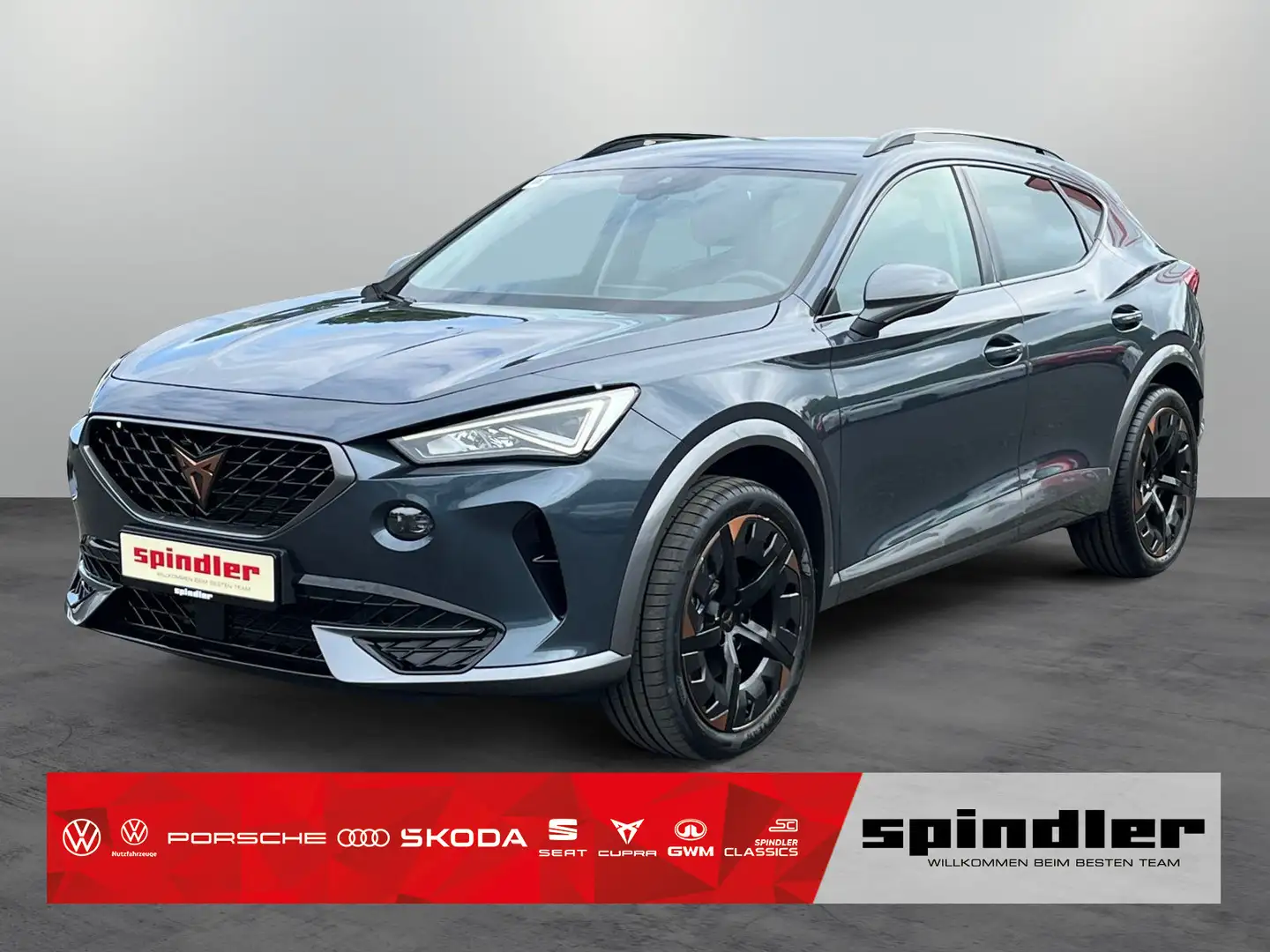 CUPRA Formentor 1.5 TSI / ACC, LED, Navi High, DAB+ Grau - 1
