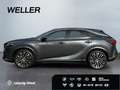 Lexus RX 450h + Executive Line *HUD*360*Pano*Navi*LED* Gris - thumbnail 5