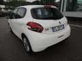Peugeot 208 5p 1.6 bluehdi Active 75cv CONTOVENDITA Bianco - thumbnail 6