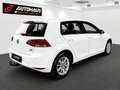 Volkswagen Golf R abbit 1,6 TDI BMT | 1.BESITZ | PICKERL BIS 06/2... Weiß - thumbnail 6
