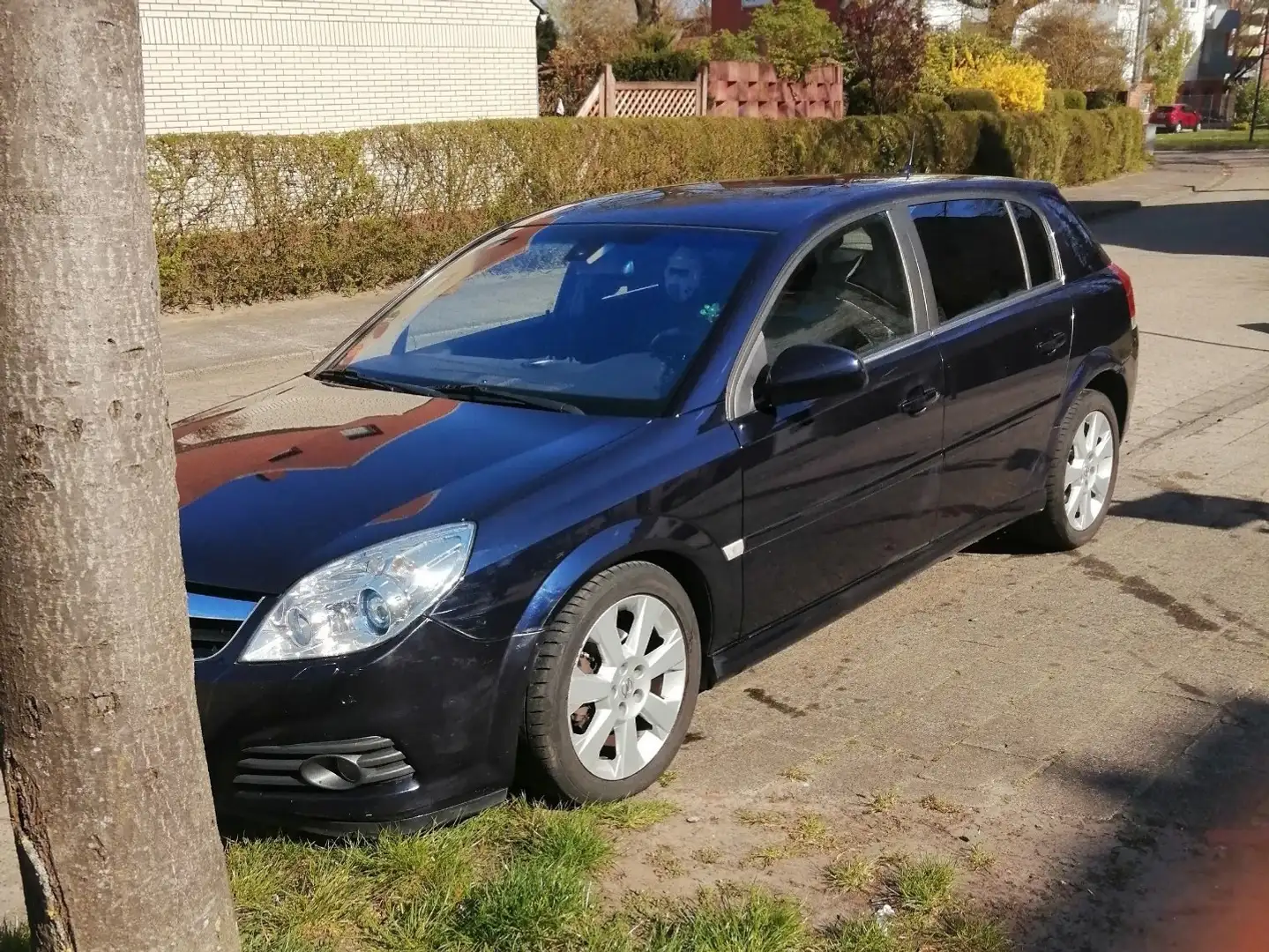 Opel Signum 1.9 CDTI Automatik Edition Синій - 1
