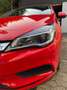 Opel Astra Astra 1.6 D (CDTI) Edition Czerwony - thumbnail 12
