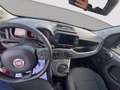 Fiat Panda 1.0 firefly hybrid Cross s&s 70cv 5p.ti Rosso - thumbnail 12