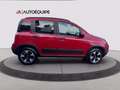 Fiat Panda 1.0 firefly hybrid Cross s&s 70cv 5p.ti Rosso - thumbnail 6