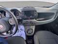 Fiat Panda 1.0 firefly hybrid Cross s&s 70cv 5p.ti Rosso - thumbnail 13