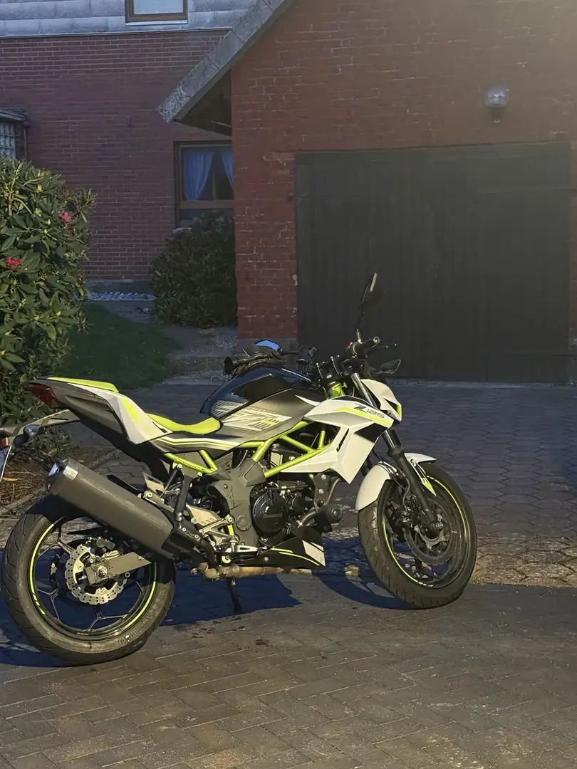 Kawasaki Z 125 - 2