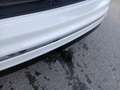 Volkswagen Tiguan Sky TDI SCR 4MOTION DSG Weiß - thumbnail 19