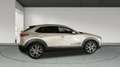 Mazda CX-30 2025 2.5 e-SKYACTIV G MHEV 140CV 6MT FWD EXCLUSIVE Beige - thumbnail 4