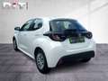 Toyota Yaris 1.0 Comfort Klima Kamera Sitzhzg Tempomat Weiß - thumbnail 4