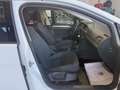 Volkswagen Golf 1.6TDI CR BMT Sport DSG 110 Blanco - thumbnail 24