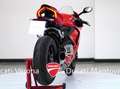 Ducati Panigale V2 Panigale V2 Red solo 6.824 km MAI PISTA Rosso - thumbnail 12