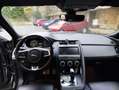 Jaguar E-Pace E-Pace 2.0d i4 First Edition awd 180cv auto Bronzo - thumbnail 7