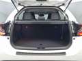 Toyota Yaris -19% 1.5 HYB 116cv BVA +MIRRORLINK+CAM+CLIM Beige - thumbnail 33