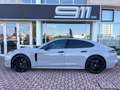 Porsche Panamera Panamera 2.9 4S e-hybrid 5p auto Grau - thumbnail 3