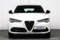 Alfa Romeo Stelvio 2,2 16V 160 Aut. SPRINT TOP-ANGEBOT ++ Weiß - thumbnail 2