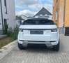 Land Rover Range Rover Evoque Dynamic 4WD SD4 Leder Kamera Blanc - thumbnail 10