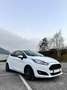 Ford Fiesta 1.25 60 Ambiente - thumbnail 2