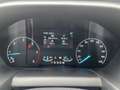 Ford Transit Custom L1H1 EcoBlue 170ch Limited BVA6 Beige - thumbnail 9