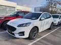 Ford Kuga 1,5 Ecoboost ST-Line X Blanc - thumbnail 1