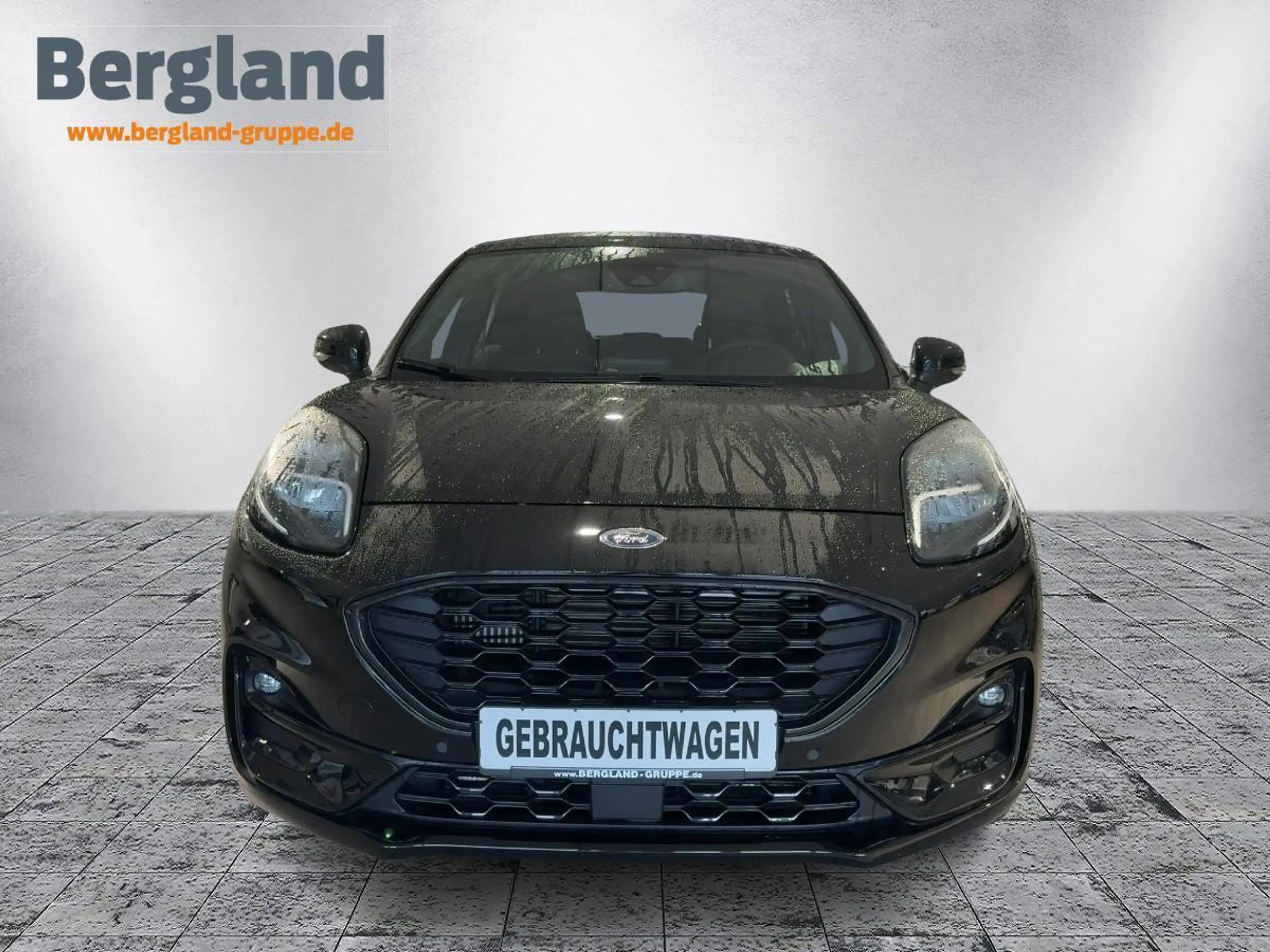 Ford Puma 1,0 l EcoBoost Hybrid 92 kW (125 PS) ST-Line — photo 2