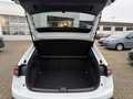 Volkswagen Taigo GOAL 1,0 l TSI OPF 5-Gang NAVI/ PDC/ LED/ AC Weiß - thumbnail 16