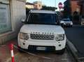 Land Rover Discovery Discovery 3.0 tdV6 HSE 211cv autocarro N1 Bianco - thumbnail 2