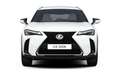 Lexus UX 300h F Sport Design Klima Kamera Sitzhzg Weiß - thumbnail 2