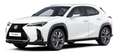 Lexus UX 300h F Sport Design Klima Kamera Sitzhzg Weiß - thumbnail 4