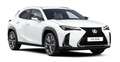 Lexus UX 300h F Sport Design Klima Kamera Sitzhzg Weiß - thumbnail 1