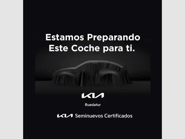 Kia e-Niro E- Business
