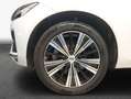 Volvo XC60 XC60 B5 B AWD Plus Bright Weiß - thumbnail 7