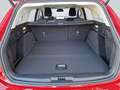 Ford Focus Turnier TITANIUM EDITION 155PS Automatik Rot - thumbnail 13