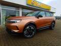 Opel Grandland e- GS LED/Navi/Shz/360Kamera/Glasdach Gold - thumbnail 2