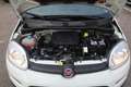Fiat Panda Panda III 2021 1.0 firefly hybrid s&s Bianco - thumbnail 14