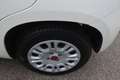 Fiat Panda Panda III 2021 1.0 firefly hybrid s&s Bianco - thumbnail 12